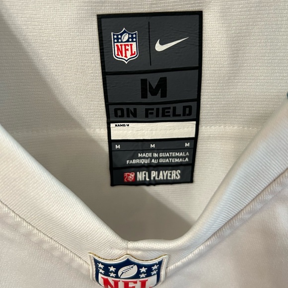 Reggie Bush Miami Dolphins Jersey - Picture 4 of 6